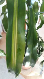 20190814_120453.webp