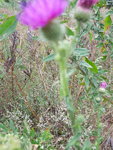 20190813_131334.jpg
