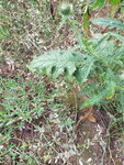 20190813_131324.jpg