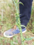 20190813_131317.jpg