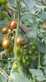 20190814_134645.webp