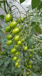 20190814_134700.webp