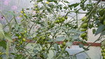 20190814_134656.jpg