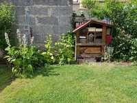 20190613_153312.jpg