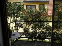 15_05_2019_Hornis (1).webp