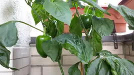 20190812_122513.jpg