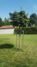 20190815_143043.webp