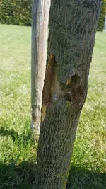 20190815_143036.webp