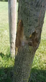 20190815_143032.webp