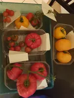 20190815_214539.webp 20190815_214539.webp