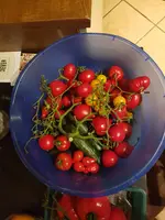 20190815_214549.webp 20190815_214549.webp