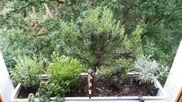 IMG_20190816_084950.webp