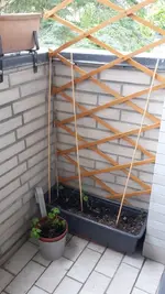 20190816_095734.jpg 20190816_095734.jpg