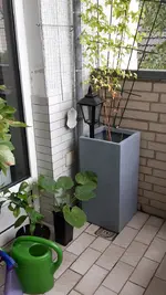 20190816_095744.jpg 20190816_095744.jpg