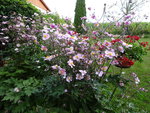 DSC00582.JPG
