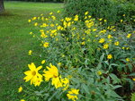 DSC00583.JPG
