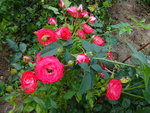 DSC00584.JPG