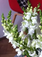 1566048264644.webp 1566048264644.webp