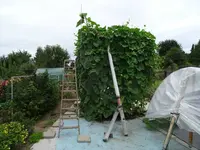 k-DSC01418.webp