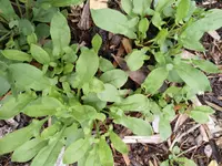 IMG_20190817_164002_495.webp