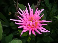 DSCI1077.webp