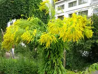 DSC00594.JPG