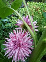 20190816_174038.webp