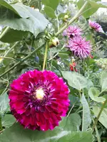 20190816_174030.webp