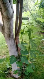 IMG_20190818_082827710.webp