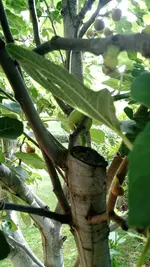 IMG_20190818_082910228.webp