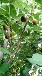 IMG_20190818_083123652.webp