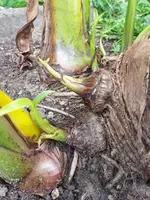 20190816_115208.webp