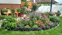 IMG_20190803_180330806_HDR.webp