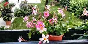 IMG_20190808_182822441.webp