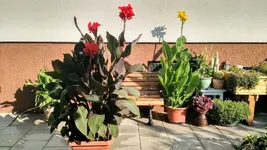 IMG_20190812_083414233_HDR.webp