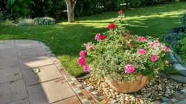 IMG_20190812_083157872_HDR.webp
