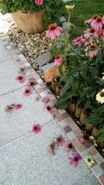 IMG_20190810_091243211.webp
