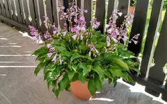 IMG_20190807_091839289_HDR.webp