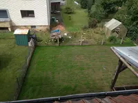 IMG_20190818_124057.webp