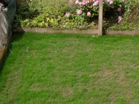 IMG_20190818_124105.webp