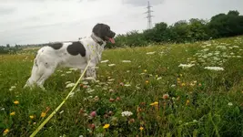 IMG_20190728_154728248.webp