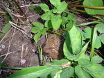 DSC00601.JPG