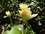 DSC00600.JPG