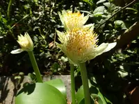 DSC00600.webp