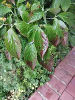 IMG_20190818_202333.jpg