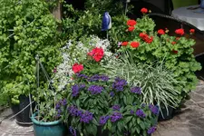 Terasse   3219.webp