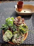 20190819_162359.jpg
