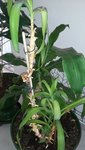 20190819_152732.jpg