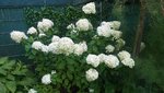 20190819_121045.jpg