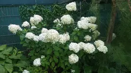 20190819_121045.jpg